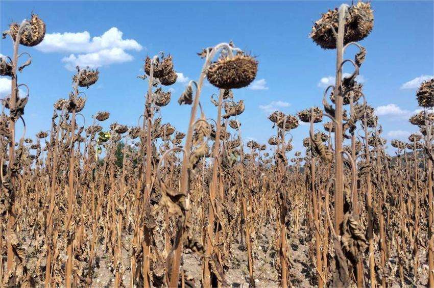 ������������� �� ���������� ���� ����� � 50% ��� �����������, ��������� �� ���