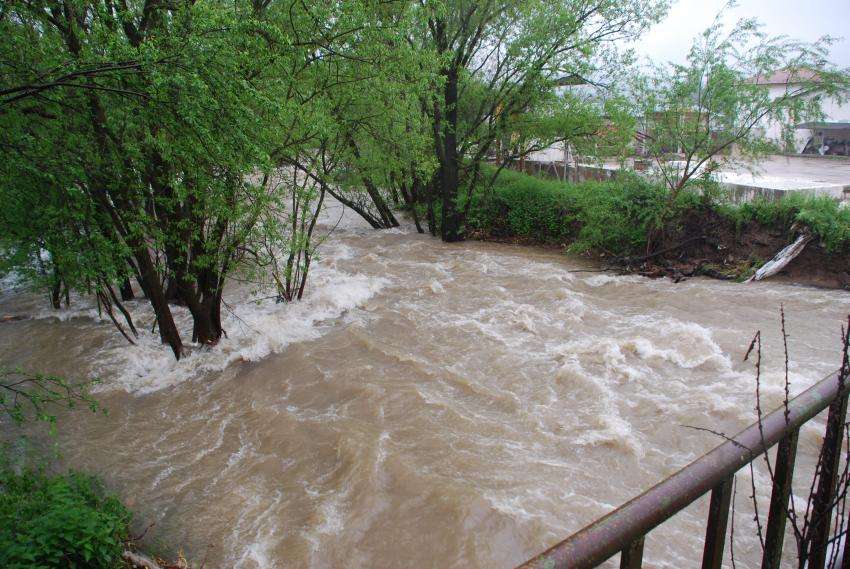 �� ����� ���� � �������� � ����������, ����� �� ������ ����������� �� �����