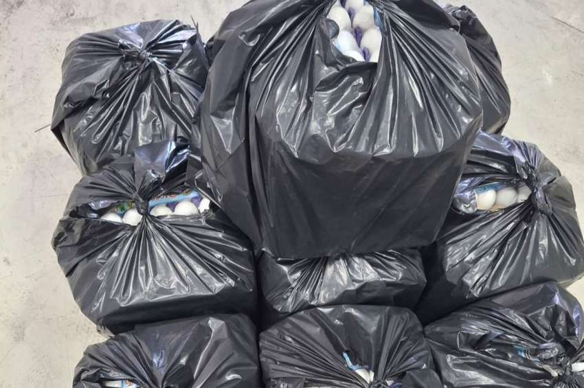 ������ �� ���� ��� �������� �� ���� �������� ��������