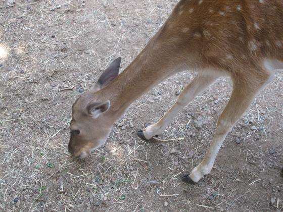 ����� ��������� � ������� �� ������� � ��������� ��� 50 ����� �������� 