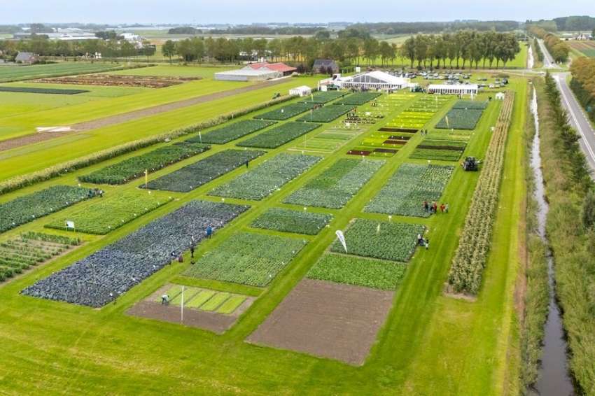 Syngenta ����� 900 ����������� �� ����������� �� ����������� Fields of Innovation 2026