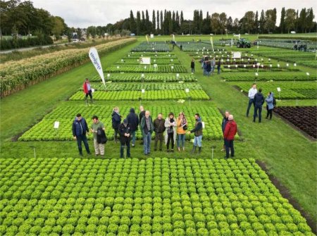 Земеделците вече могат да заявяват директни плащания без електронен подпис