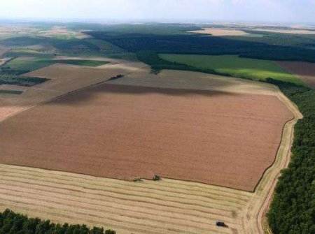 МФ: Физически лица не плащат данък върху доходите от рента