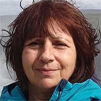 ���� �������